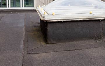 disadvantages of Ravenswood Village Settlement flat roofs